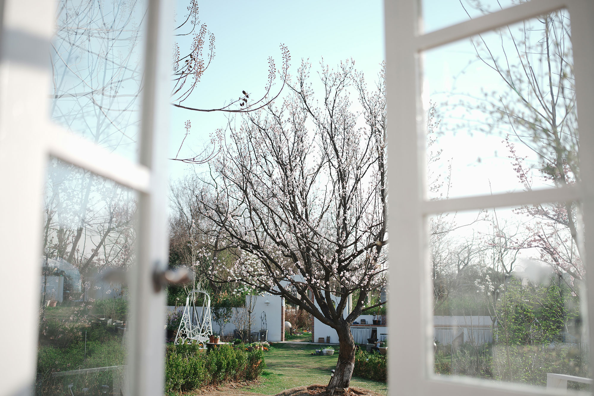 seasons in the garden